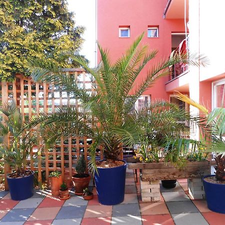 Penzion Vilka Podhajcanka Podhájska Exterior foto