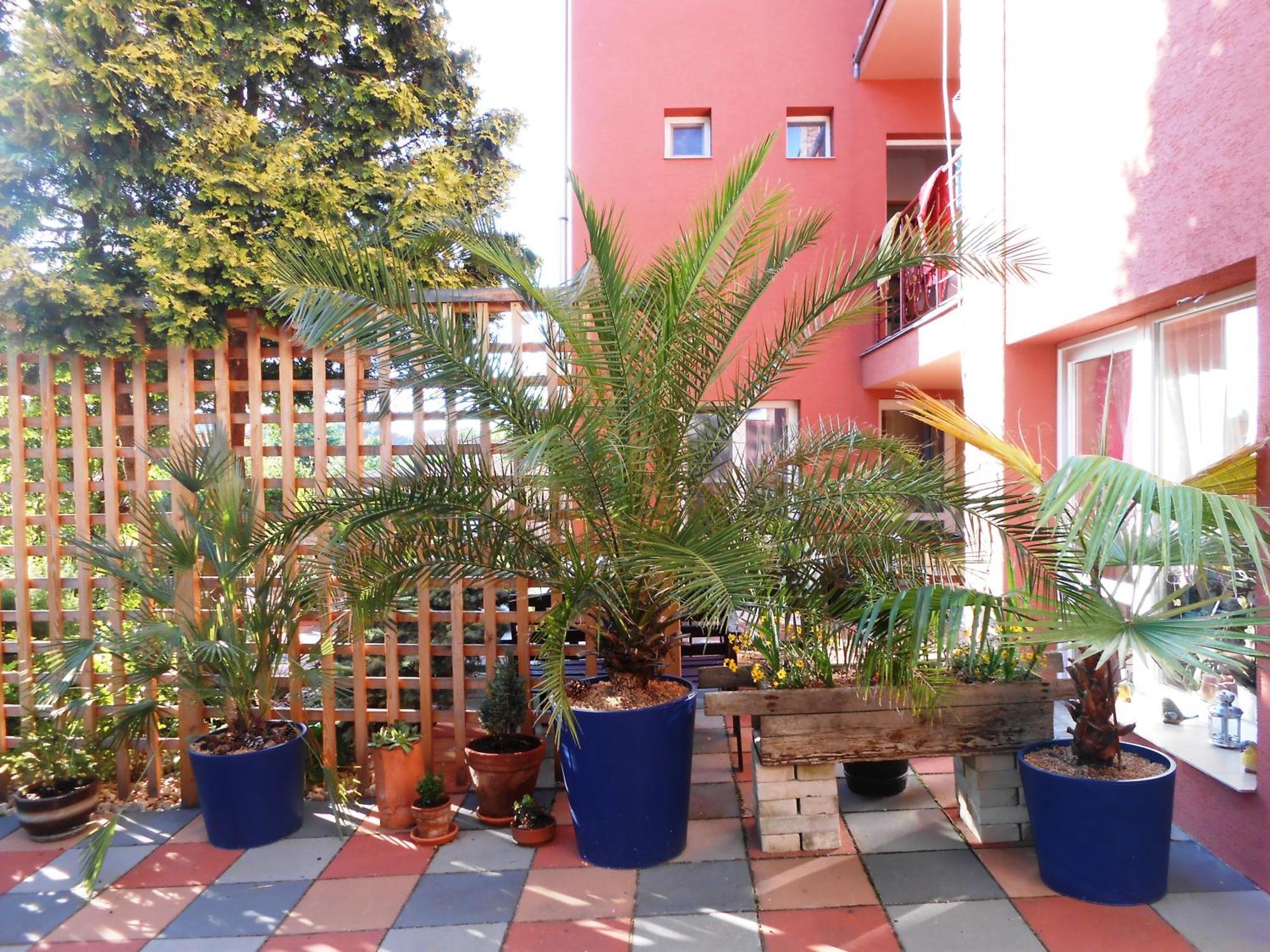 Penzion Vilka Podhajcanka Podhájska Exterior foto